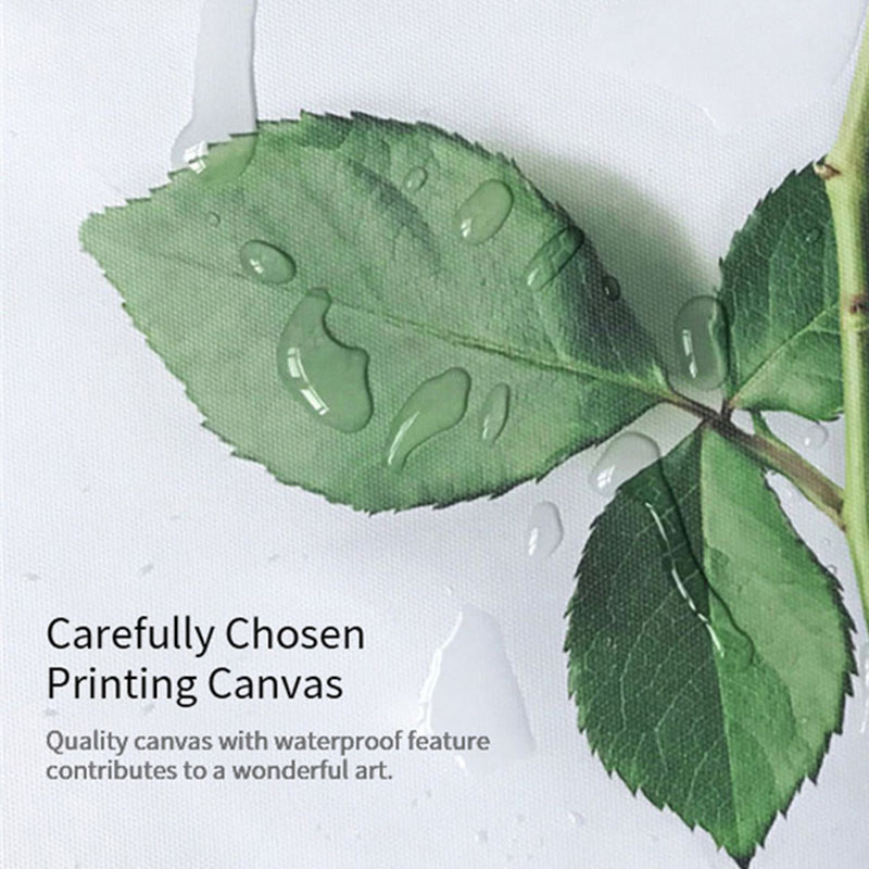 Canvas Printing (5)